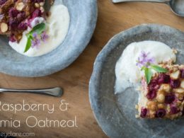 Pre-Workout Snack: Easy Gluten Free Raspberry Rhubarb Oatmeal